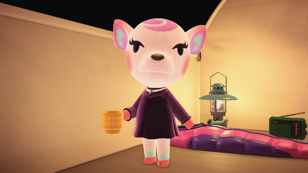 ニンテンドースイッチ あつまれどうぶつの森 キャンプ場 43回目の画像