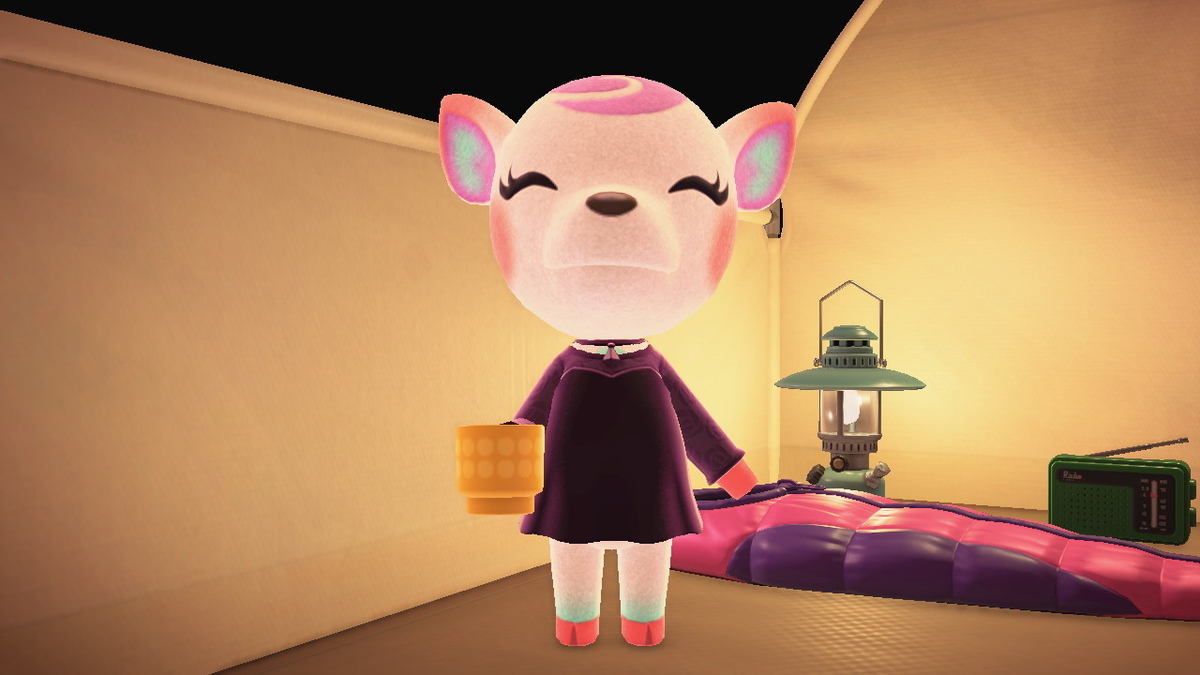 ニンテンドースイッチ あつまれどうぶつの森 キャンプ場 43回目の画像