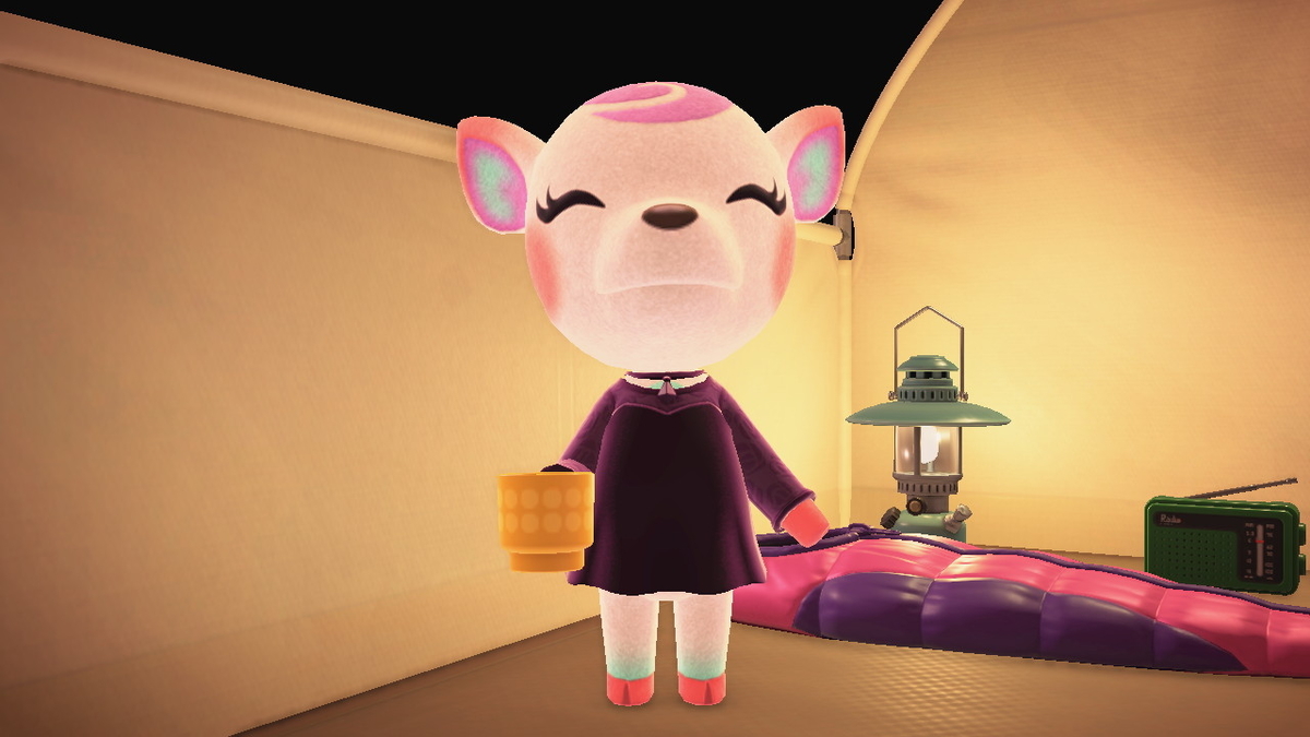 ニンテンドースイッチ あつまれどうぶつの森 キャンプ場 43回目の画像