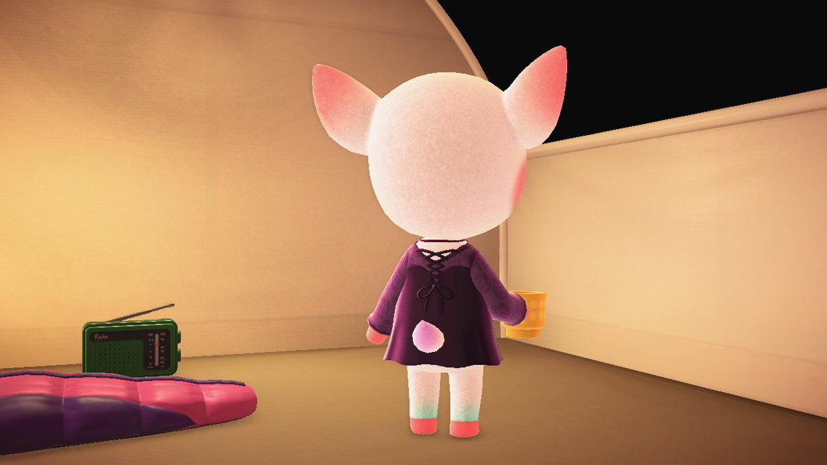 ニンテンドースイッチ あつまれどうぶつの森 キャンプ場 43回目の画像