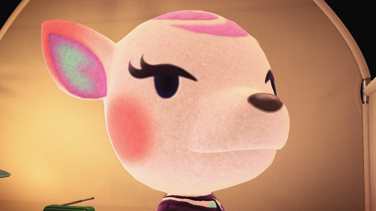 ニンテンドースイッチ あつまれどうぶつの森 キャンプ場 43回目の画像