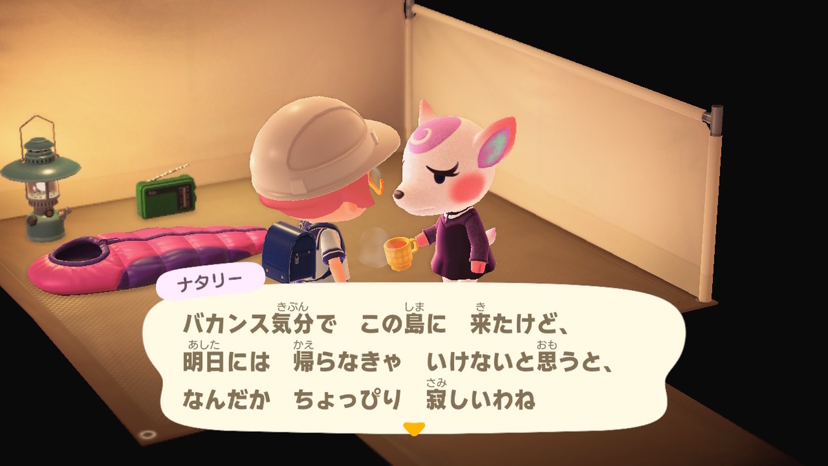 ニンテンドースイッチ あつまれどうぶつの森 キャンプ場 43回目の画像