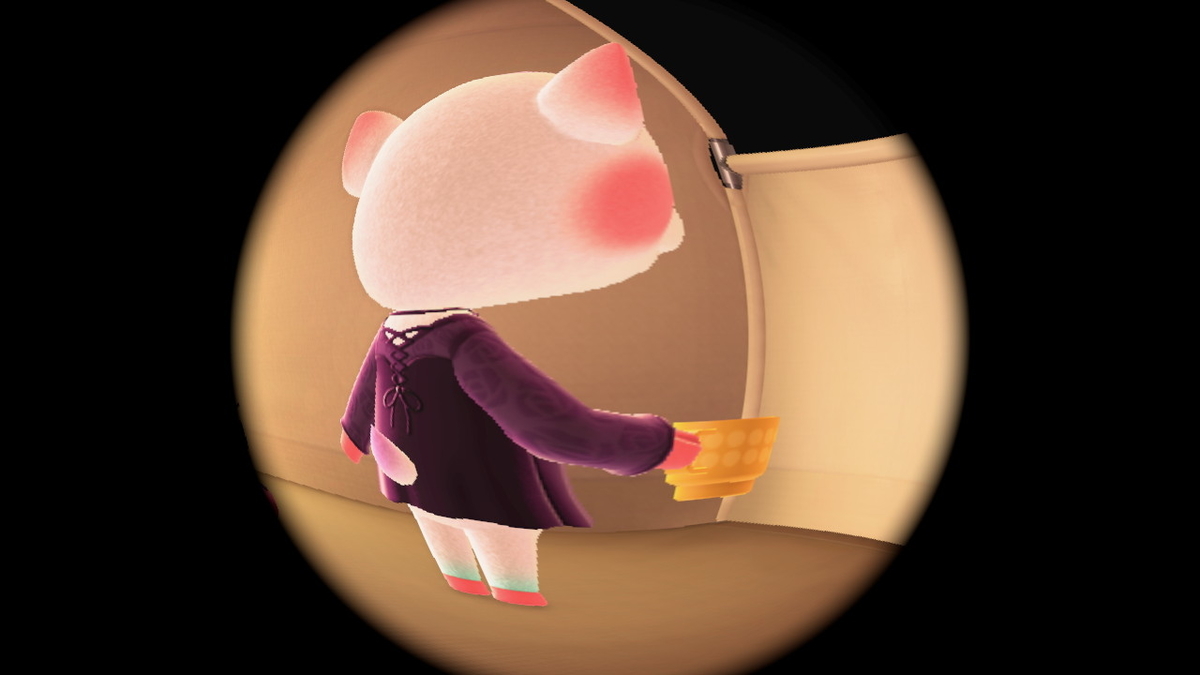 ニンテンドースイッチ あつまれどうぶつの森 キャンプ場 43回目の画像