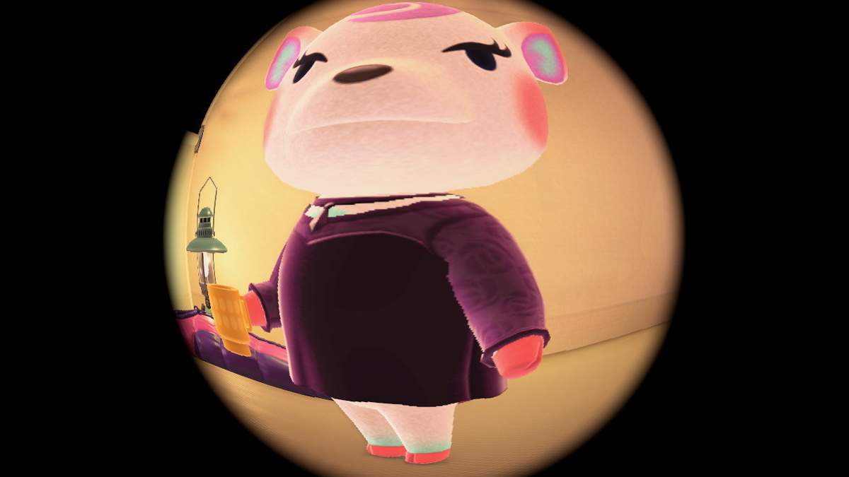 ニンテンドースイッチ あつまれどうぶつの森 キャンプ場 43回目の画像