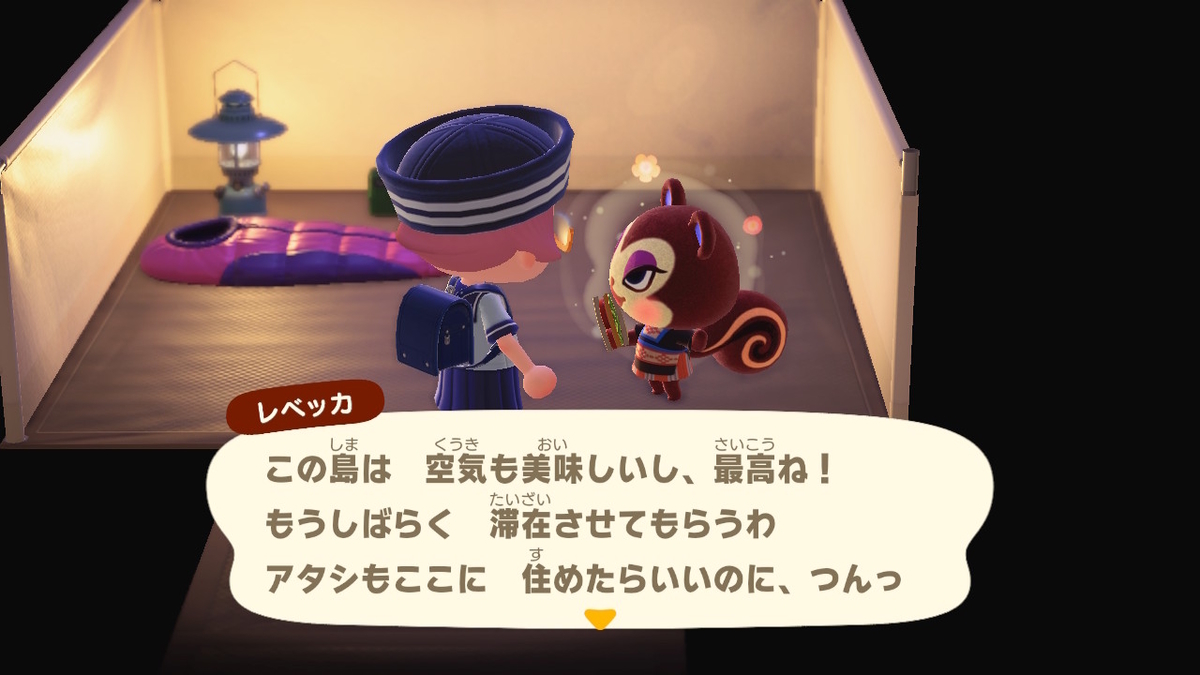 ニンテンドースイッチ あつまれどうぶつの森 キャンプ場 44回目の画像