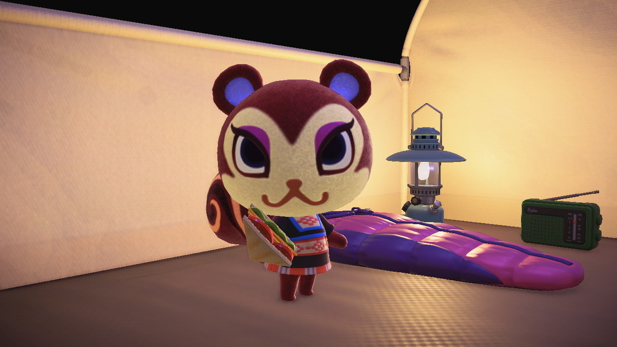 ニンテンドースイッチ あつまれどうぶつの森 キャンプ場 44回目の画像