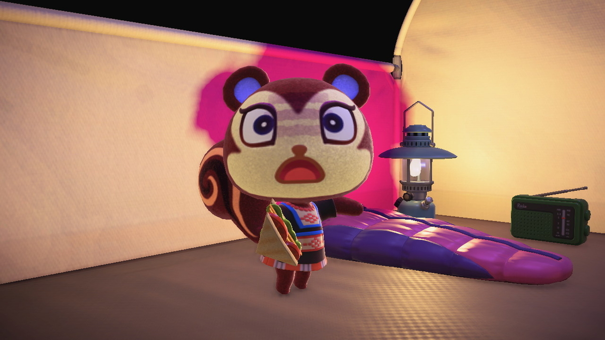 ニンテンドースイッチ あつまれどうぶつの森 キャンプ場 44回目の画像