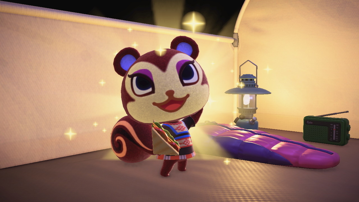 ニンテンドースイッチ あつまれどうぶつの森 キャンプ場 44回目の画像