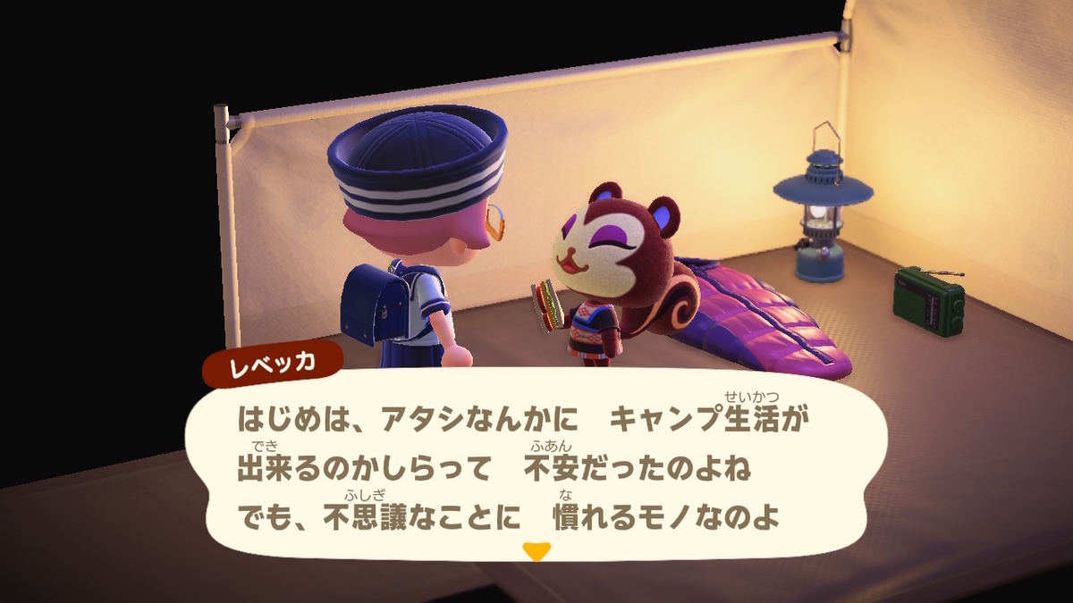 ニンテンドースイッチ あつまれどうぶつの森 キャンプ場 44回目の画像