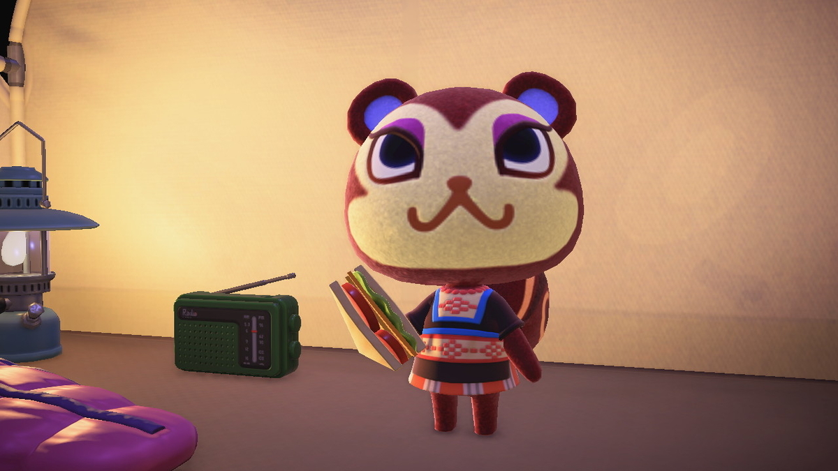 ニンテンドースイッチ あつまれどうぶつの森 キャンプ場 44回目の画像