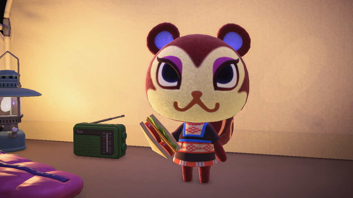 ニンテンドースイッチ あつまれどうぶつの森 キャンプ場 44回目の画像