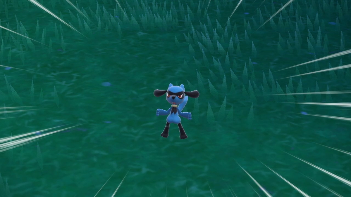 なかなか出て来ないリオルをセルクルタウンの下、南6番エリア見つけました！！ポケットモンスタースカーレット・バイオレットの画像