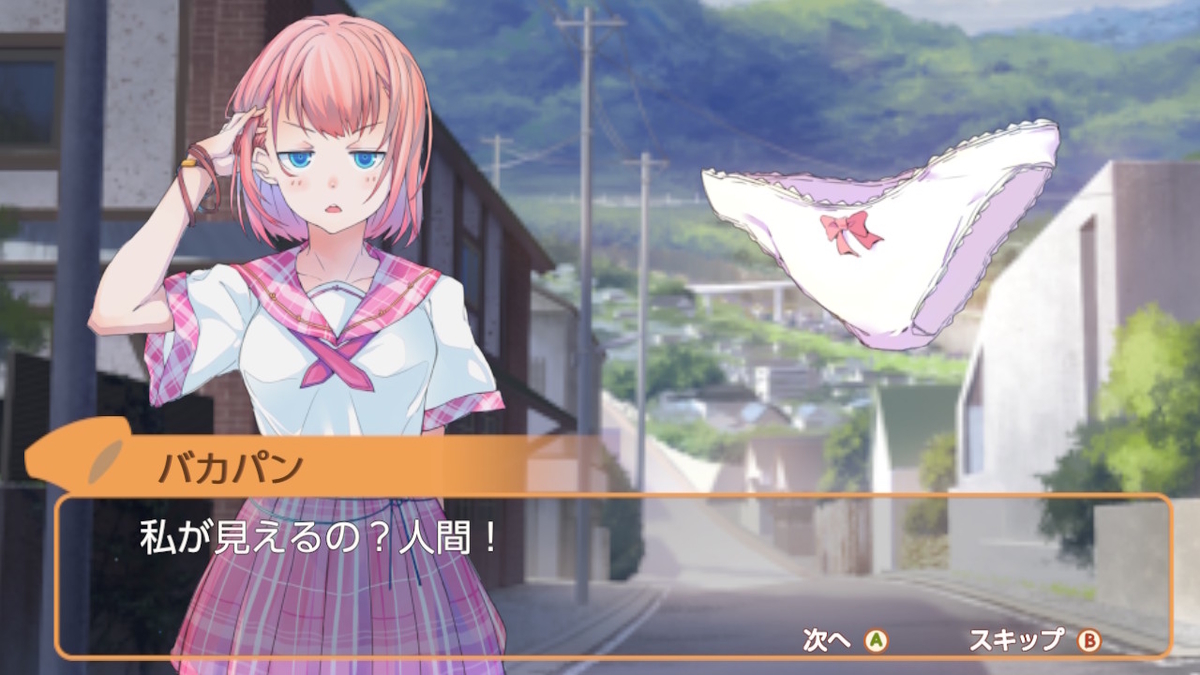 （レビュー）パンティパーティーがセールになっていたので買いました(;^ω^)の画像