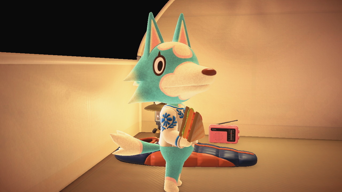 ニンテンドースイッチ あつまれどうぶつの森 キャンプ場 47回目の画像