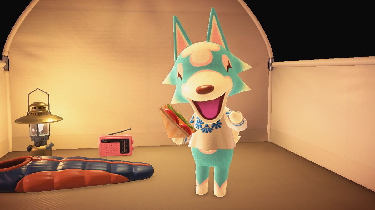 ニンテンドースイッチ あつまれどうぶつの森 キャンプ場 47回目の画像