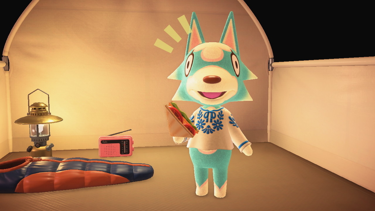 ニンテンドースイッチ あつまれどうぶつの森 キャンプ場 47回目の画像