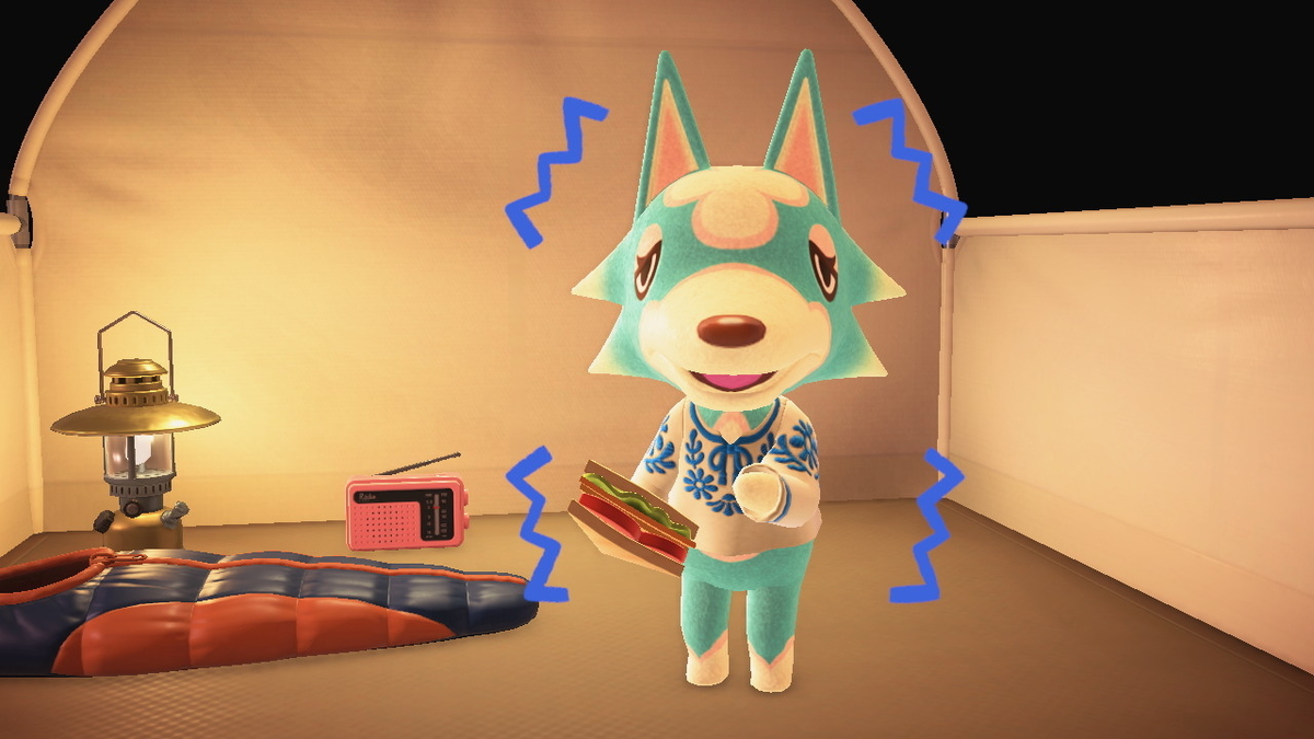 ニンテンドースイッチ あつまれどうぶつの森 キャンプ場 47回目の画像