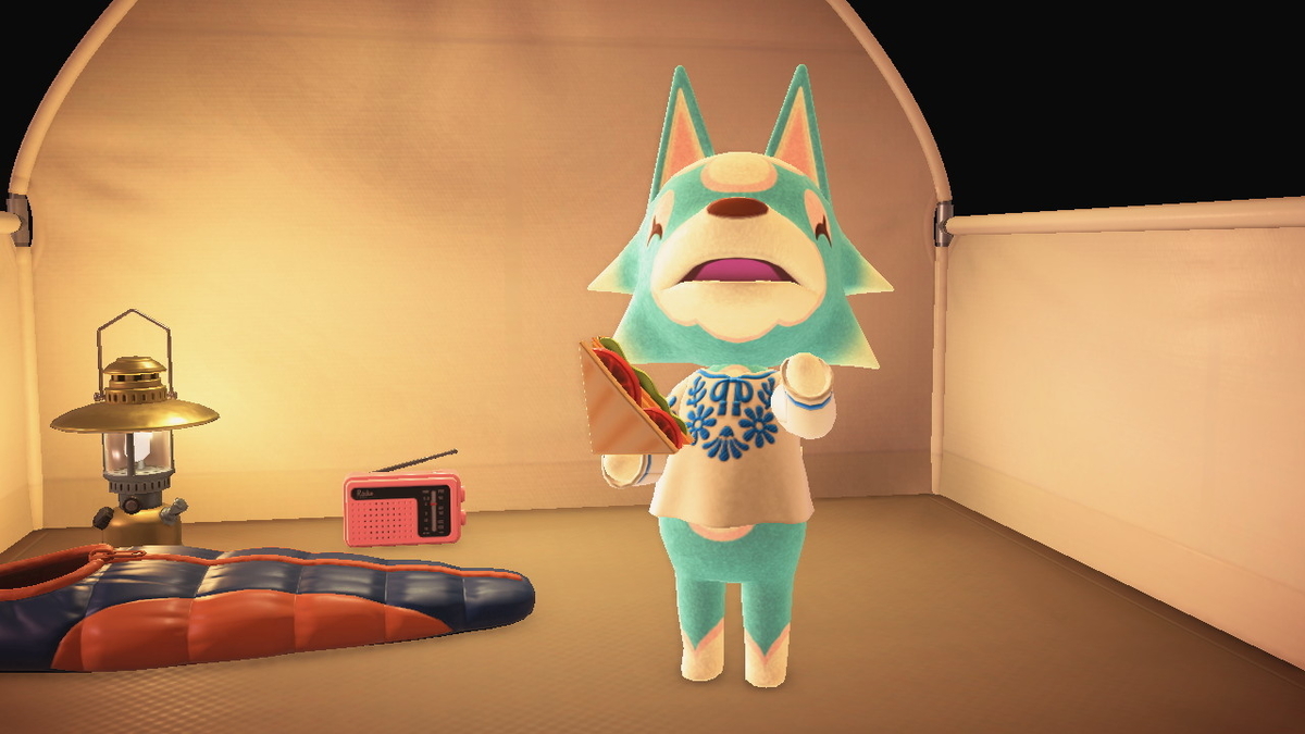 ニンテンドースイッチ あつまれどうぶつの森 キャンプ場 47回目の画像