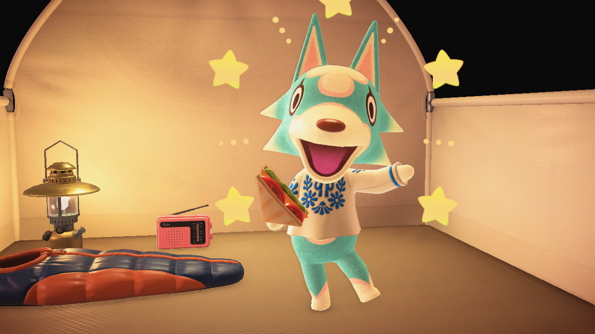 ニンテンドースイッチ あつまれどうぶつの森 キャンプ場 47回目の画像