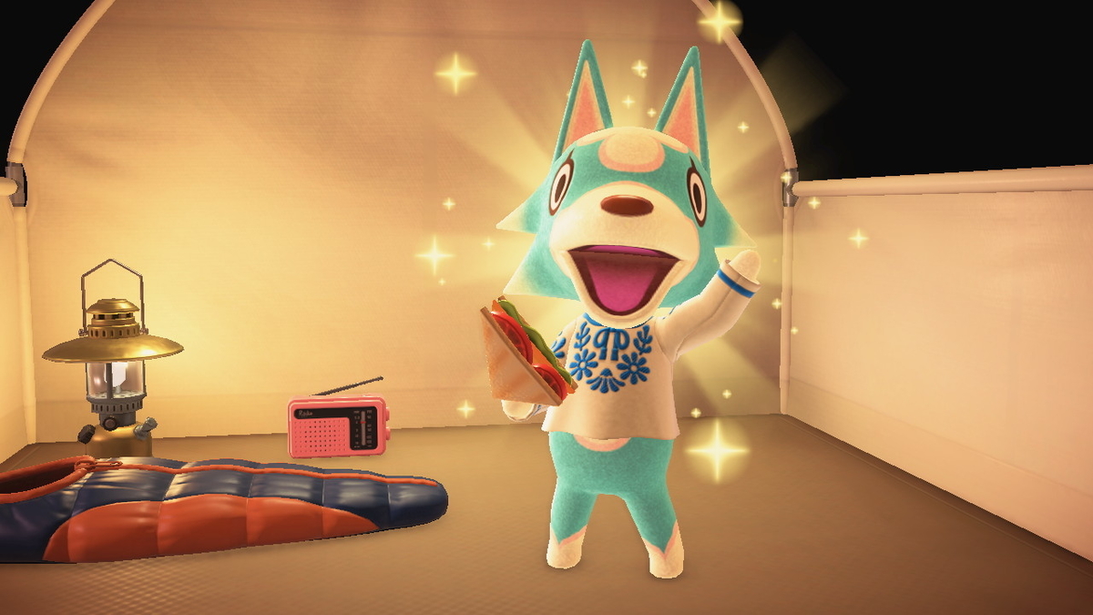 ニンテンドースイッチ あつまれどうぶつの森 キャンプ場 47回目の画像