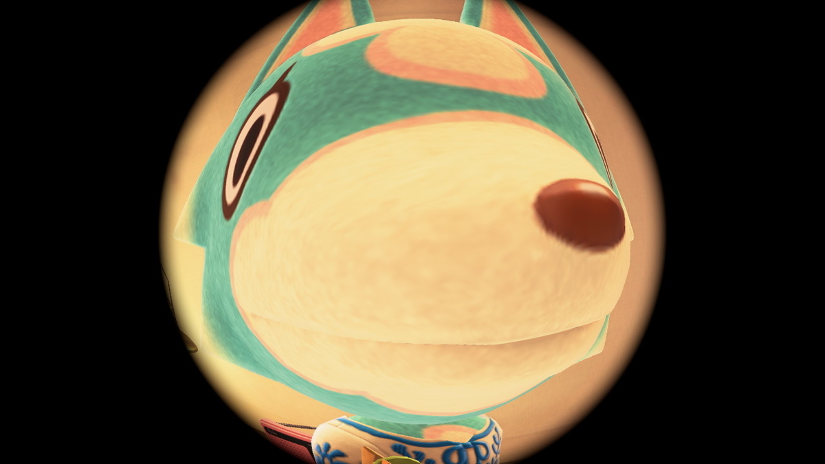 ニンテンドースイッチ あつまれどうぶつの森 キャンプ場 47回目の画像