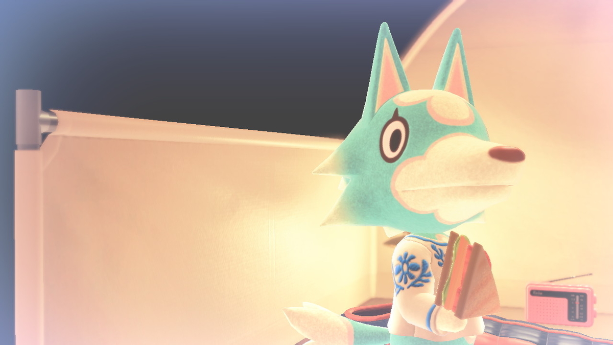 ニンテンドースイッチ あつまれどうぶつの森 キャンプ場 47回目の画像