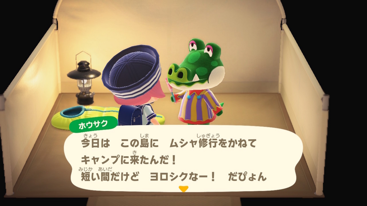 ニンテンドースイッチ あつまれどうぶつの森 キャンプ場 48回目の画像