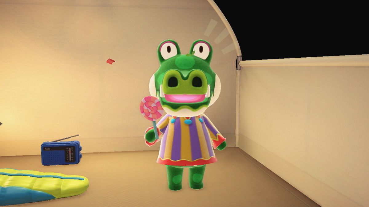 ニンテンドースイッチ あつまれどうぶつの森 キャンプ場 48回目の画像