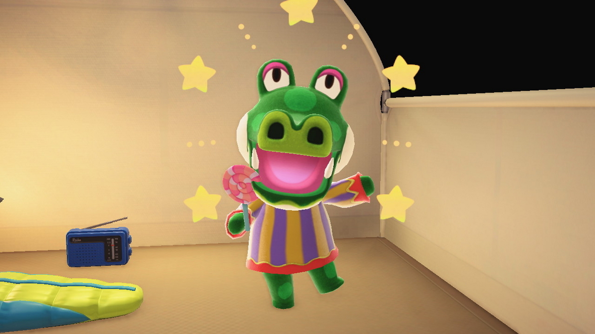 ニンテンドースイッチ あつまれどうぶつの森 キャンプ場 48回目の画像