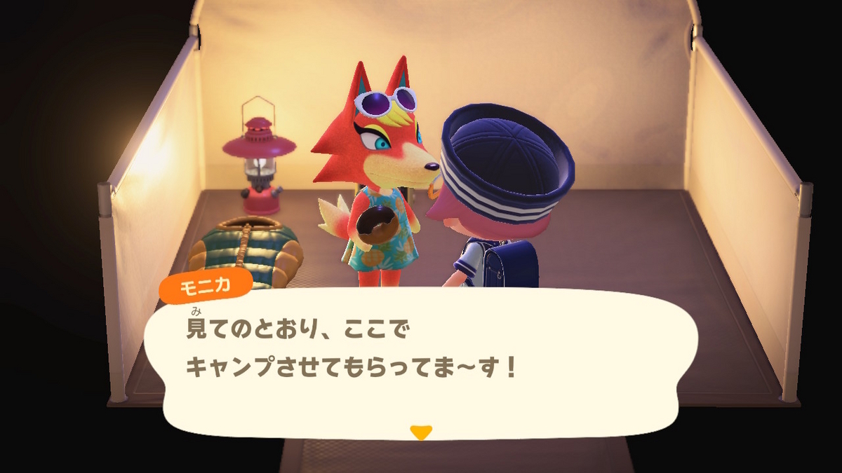 ニンテンドースイッチ あつまれどうぶつの森 キャンプ場 49回目の画像