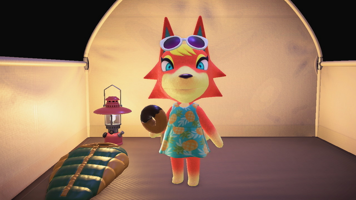 ニンテンドースイッチ あつまれどうぶつの森 キャンプ場 49回目の画像