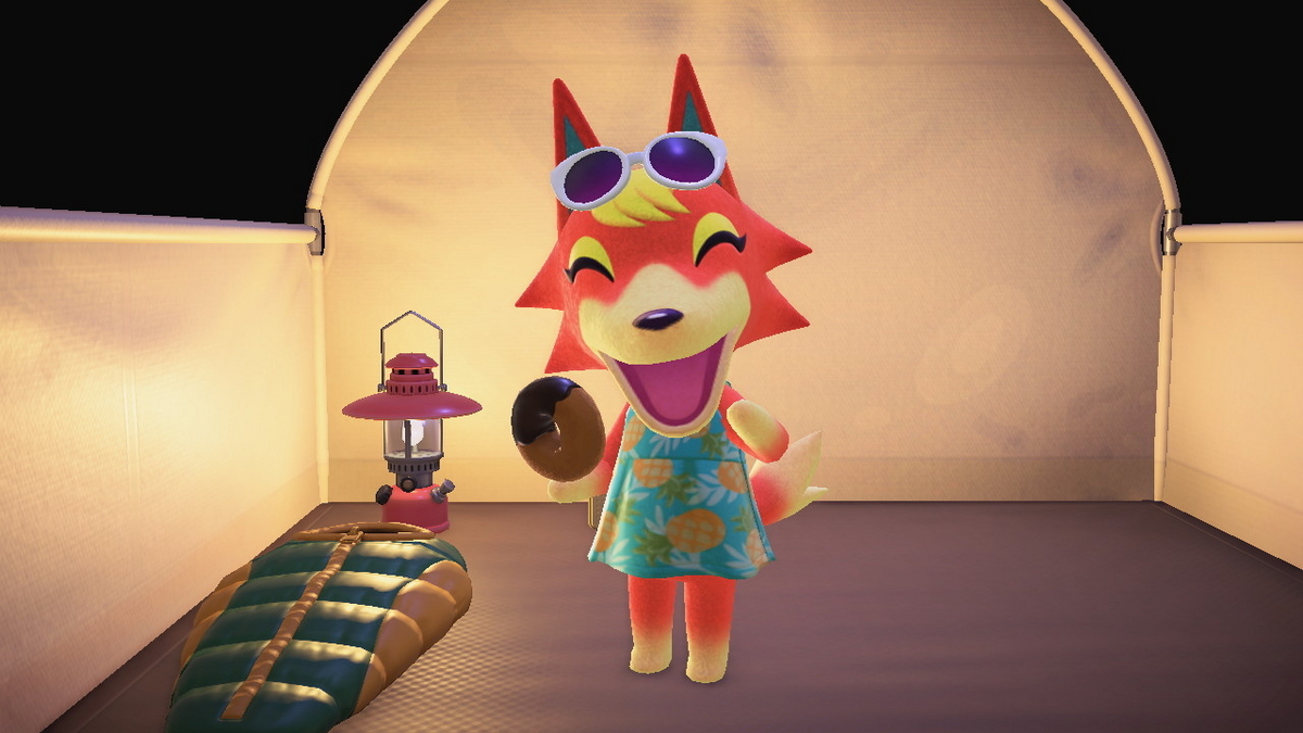 ニンテンドースイッチ あつまれどうぶつの森 キャンプ場 49回目の画像