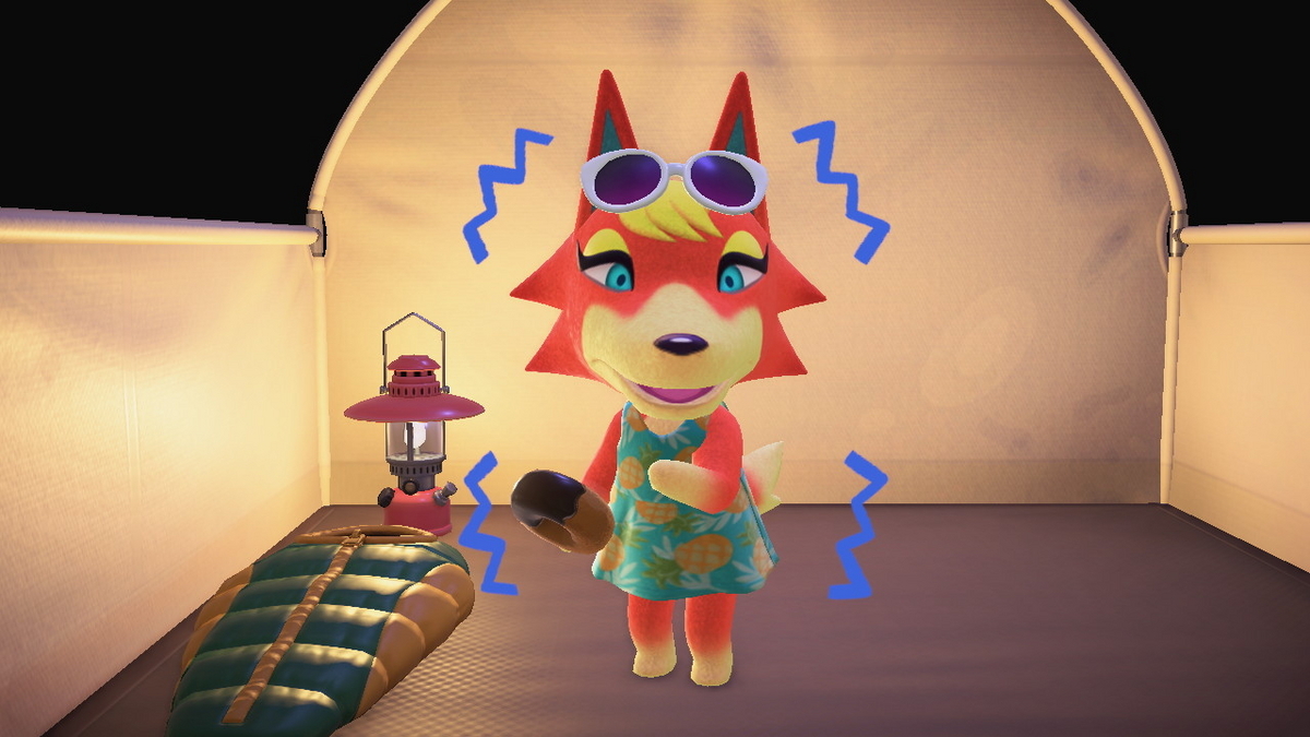 ニンテンドースイッチ あつまれどうぶつの森 キャンプ場 49回目の画像