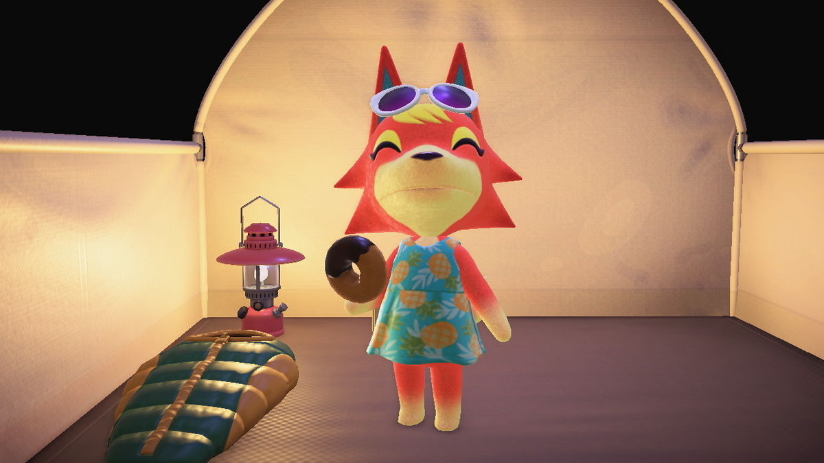 ニンテンドースイッチ あつまれどうぶつの森 キャンプ場 49回目の画像