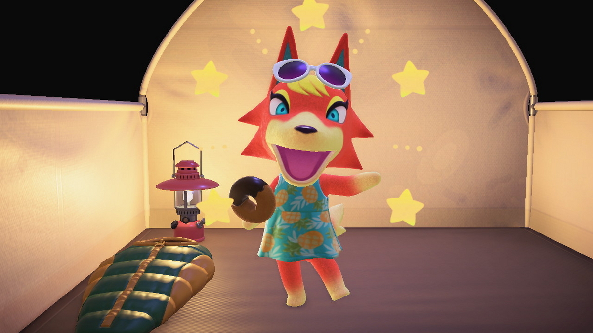 ニンテンドースイッチ あつまれどうぶつの森 キャンプ場 49回目の画像