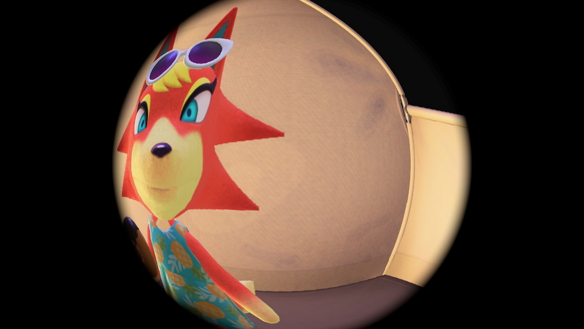 ニンテンドースイッチ あつまれどうぶつの森 キャンプ場 49回目の画像