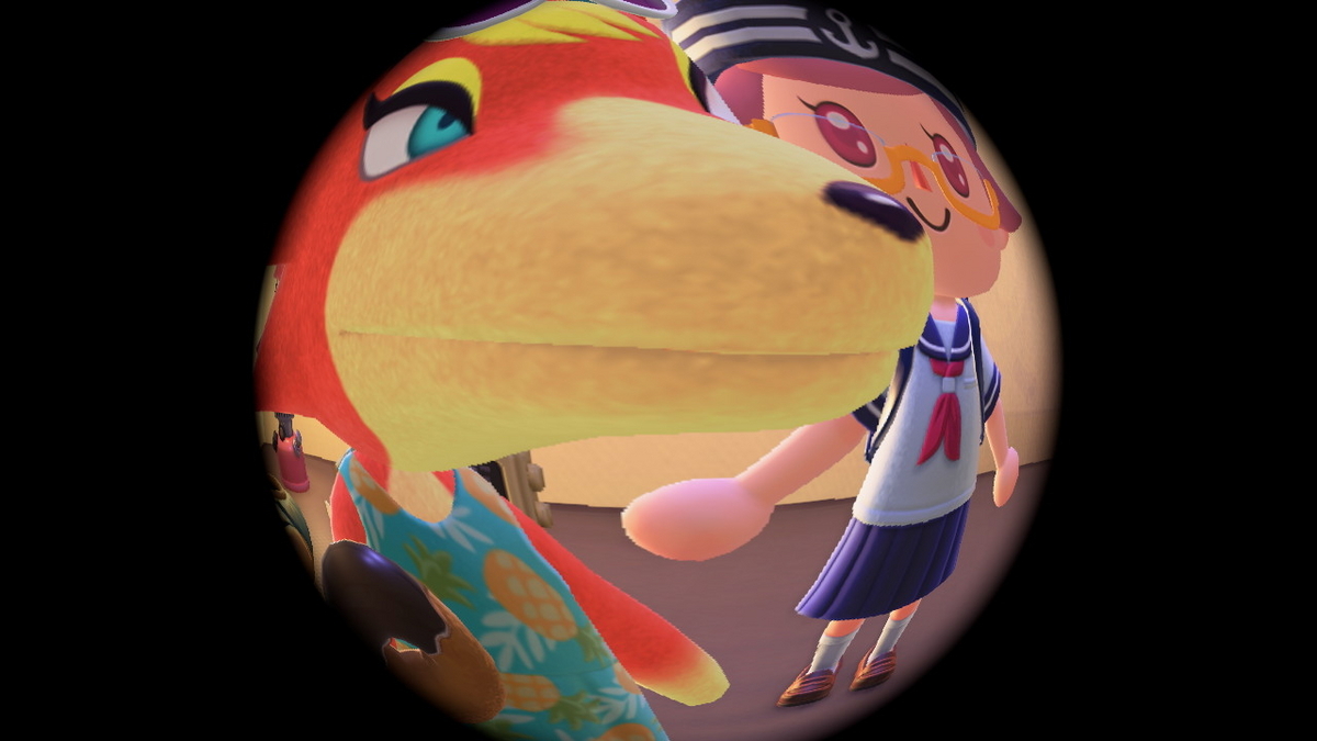 ニンテンドースイッチ あつまれどうぶつの森 キャンプ場 49回目の画像