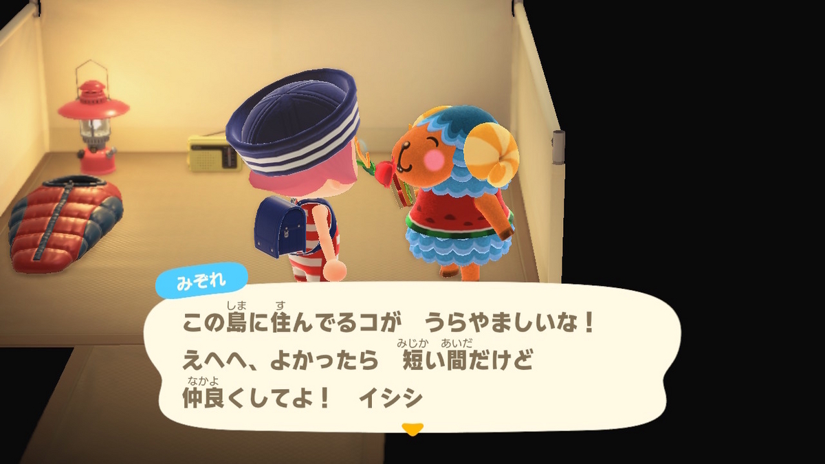 ニンテンドースイッチ あつまれどうぶつの森 キャンプ場 51回目の画像