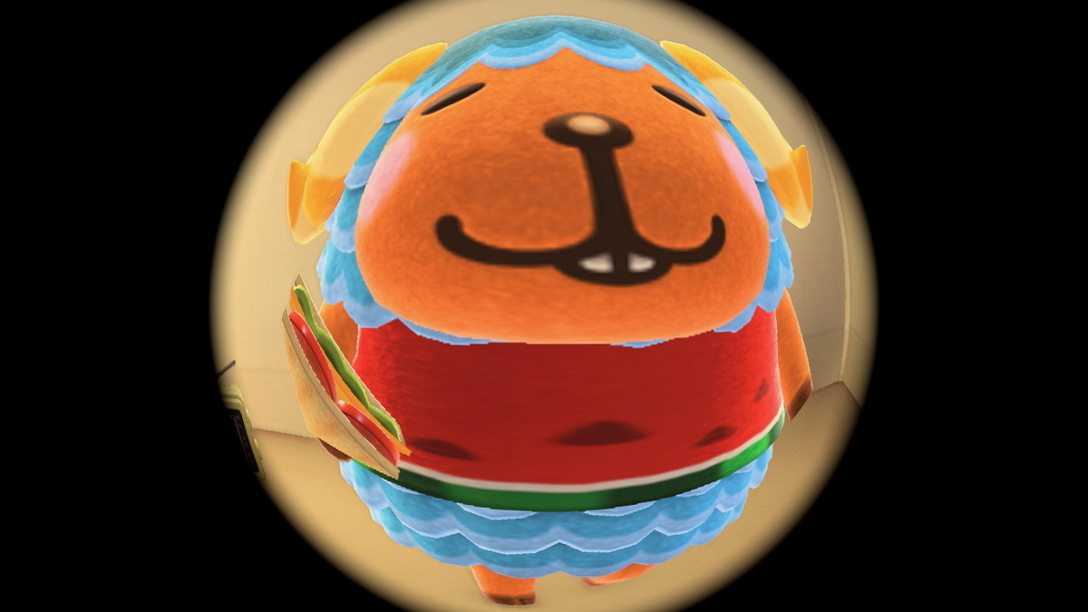 ニンテンドースイッチ あつまれどうぶつの森 キャンプ場 51回目の画像