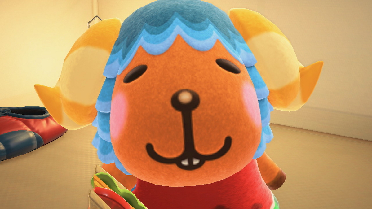 ニンテンドースイッチ あつまれどうぶつの森 キャンプ場 51回目の画像