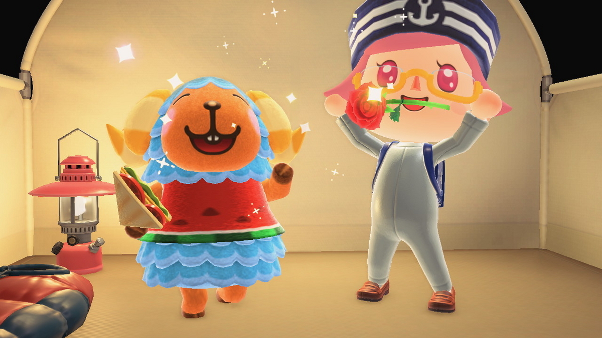 ニンテンドースイッチ あつまれどうぶつの森 キャンプ場 51回目の画像