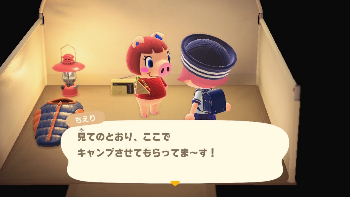 ニンテンドースイッチ あつまれどうぶつの森 キャンプ場 52回目の画像