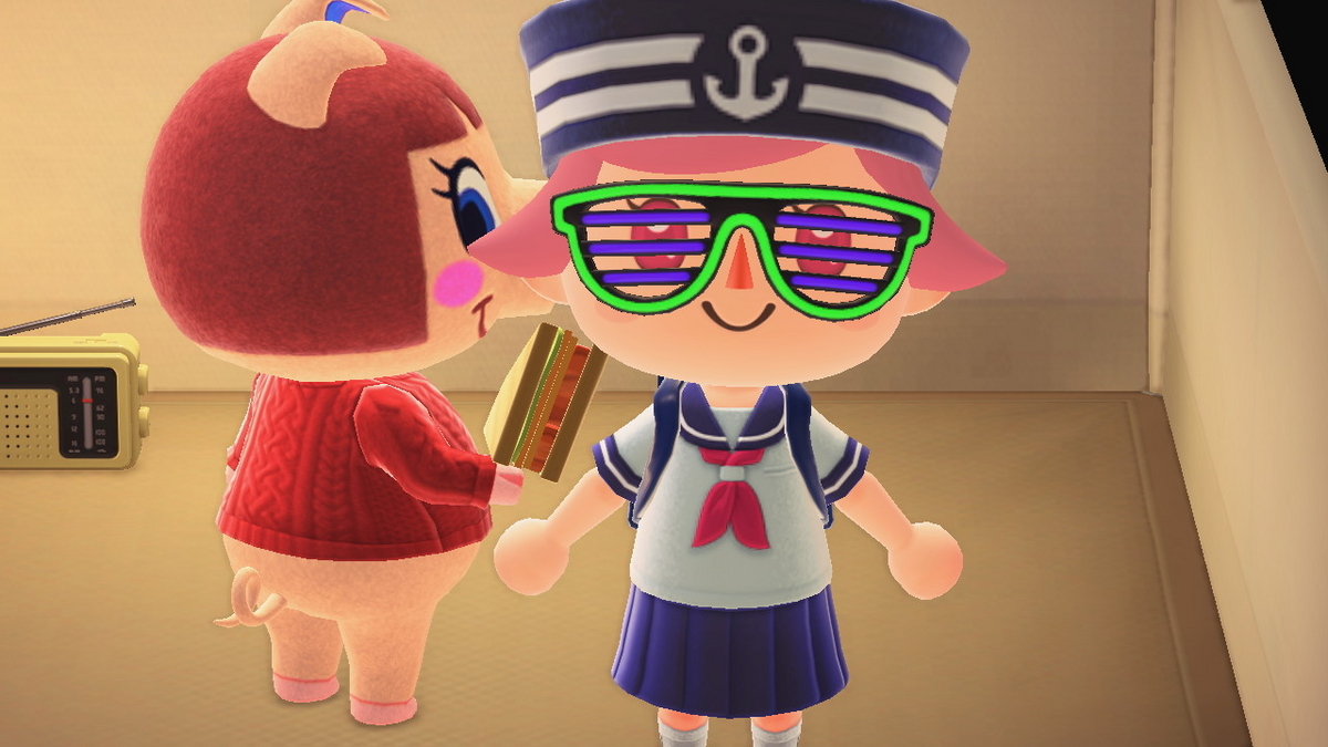 ニンテンドースイッチ あつまれどうぶつの森 キャンプ場 52回目の画像