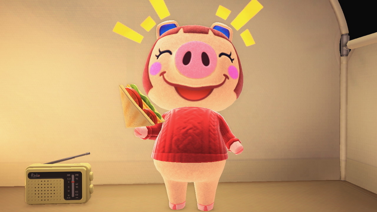 ニンテンドースイッチ あつまれどうぶつの森 キャンプ場 52回目の画像
