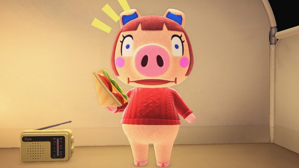 ニンテンドースイッチ あつまれどうぶつの森 キャンプ場 52回目の画像