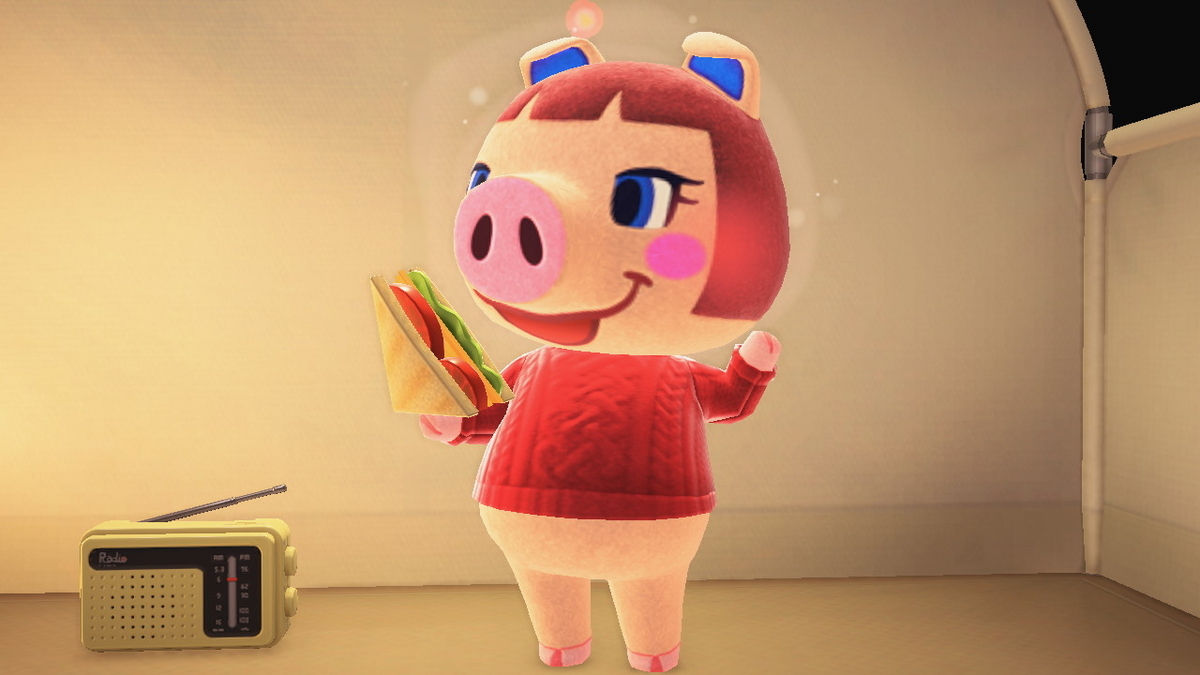 ニンテンドースイッチ あつまれどうぶつの森 キャンプ場 52回目の画像