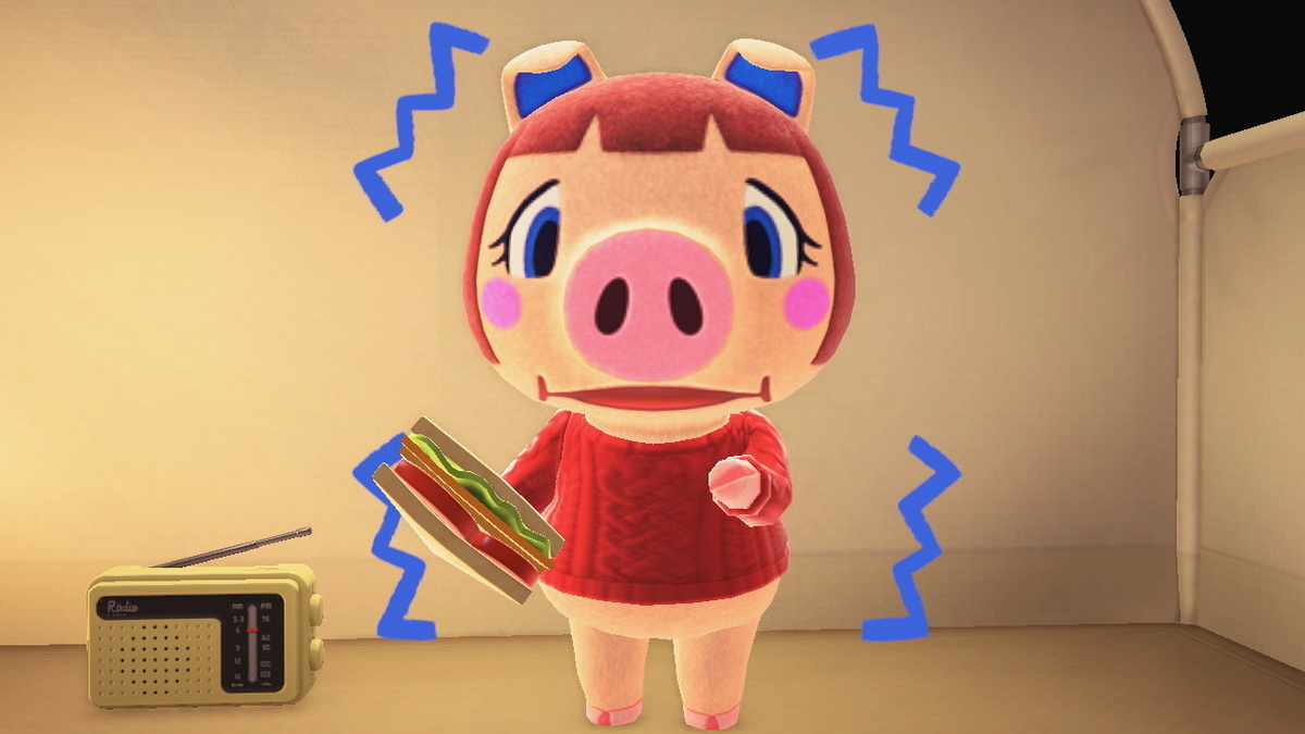 ニンテンドースイッチ あつまれどうぶつの森 キャンプ場 52回目の画像