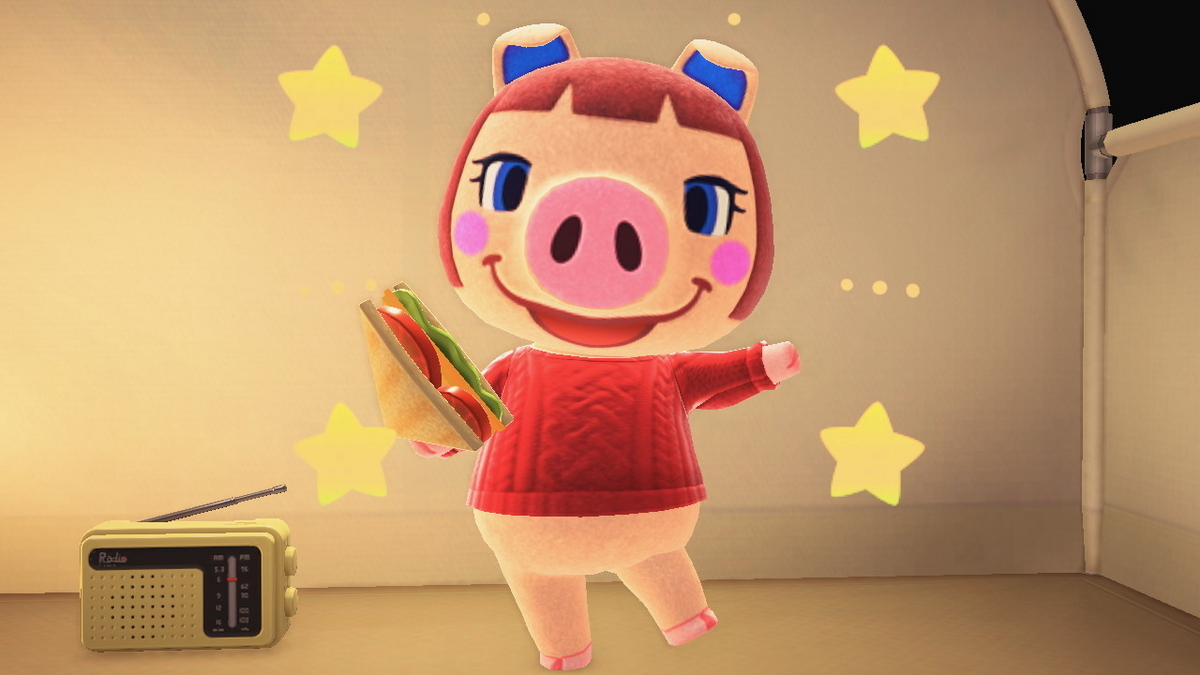 ニンテンドースイッチ あつまれどうぶつの森 キャンプ場 52回目の画像