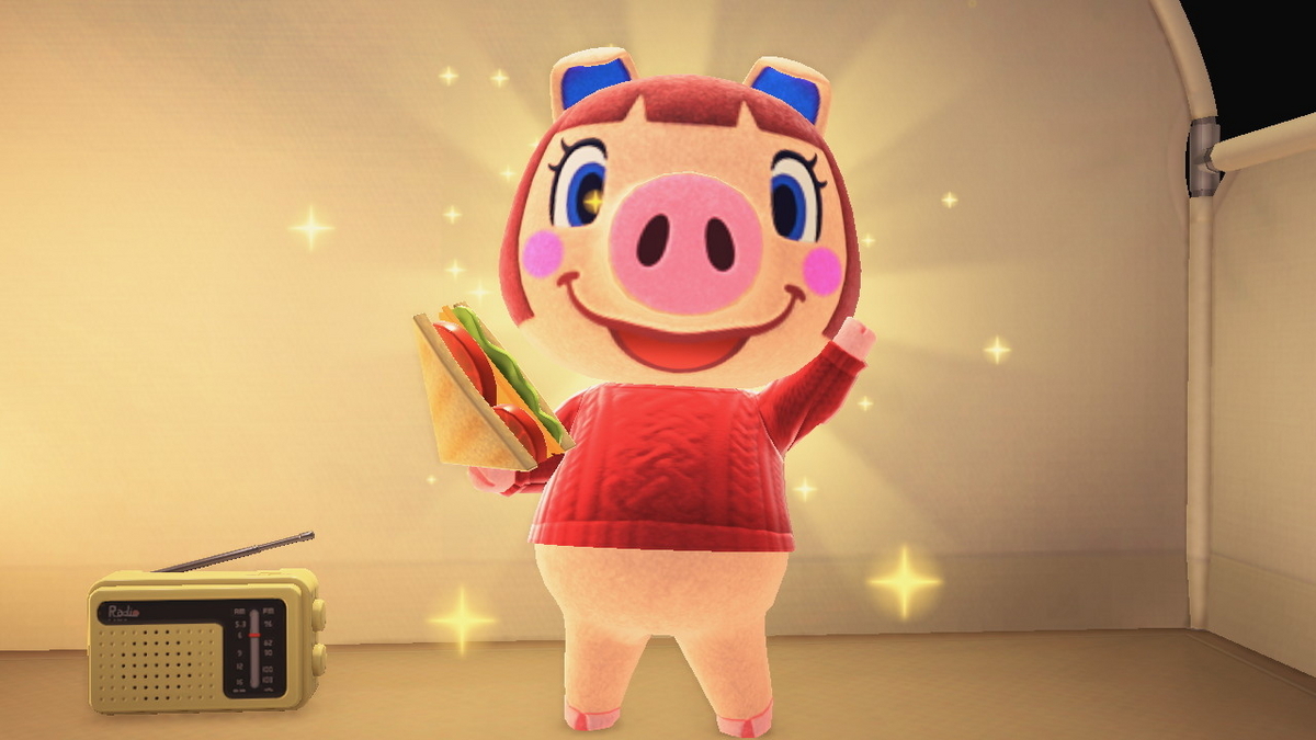 ニンテンドースイッチ あつまれどうぶつの森 キャンプ場 52回目の画像