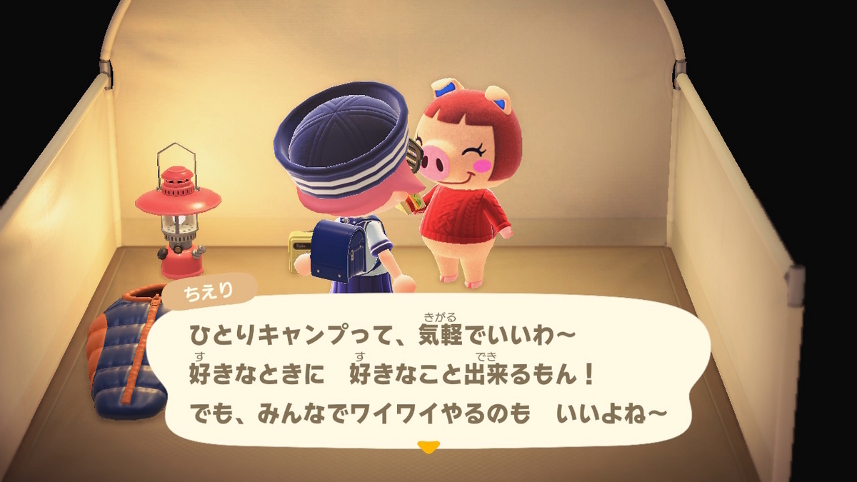 ニンテンドースイッチ あつまれどうぶつの森 キャンプ場 52回目の画像